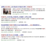 衡水朱安安：SEO外链代发行业大揭密
